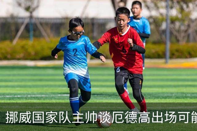 挪威国家队主帅谈厄德高出场可能性